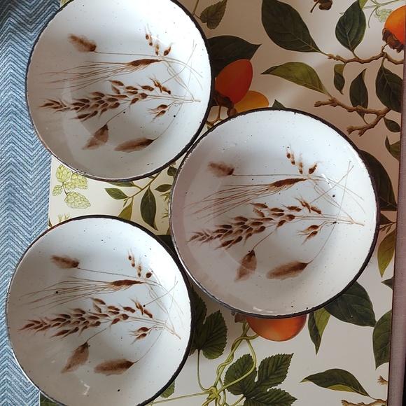 Vintage Wild Oats Stonehenge Midwinter England Stoneware Cereal Bowl Wedgwood - Picture 4 of 10